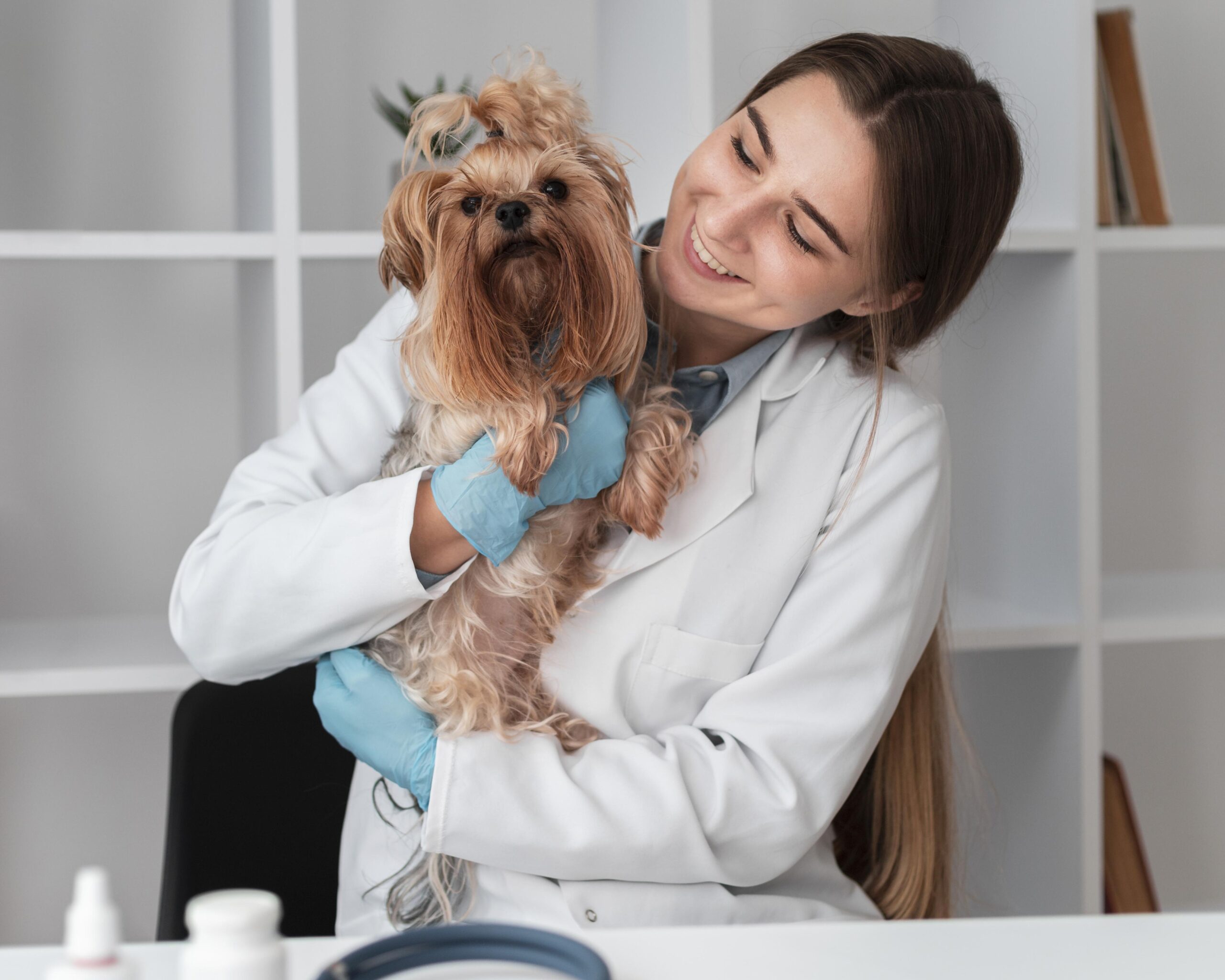 consulta con veterinario