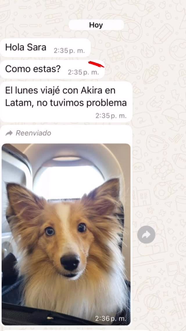 Post de @emopet.co en Instagram