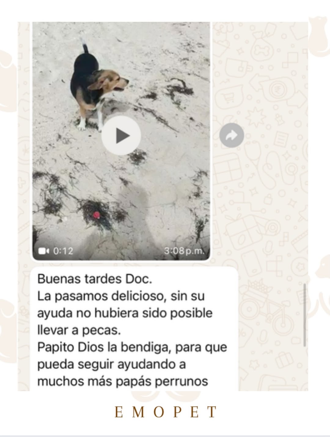 Post de @emopet.co en Instagram