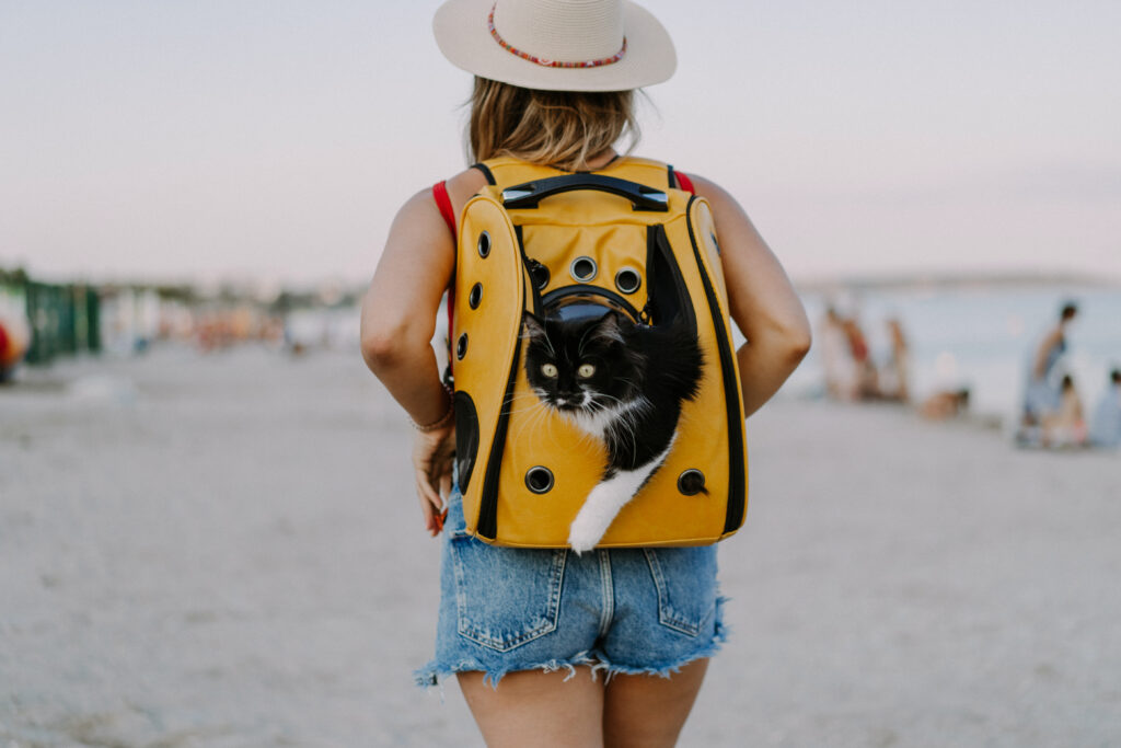 viajar con mascotas