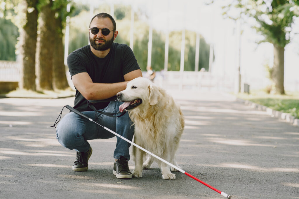 perro de asistencia