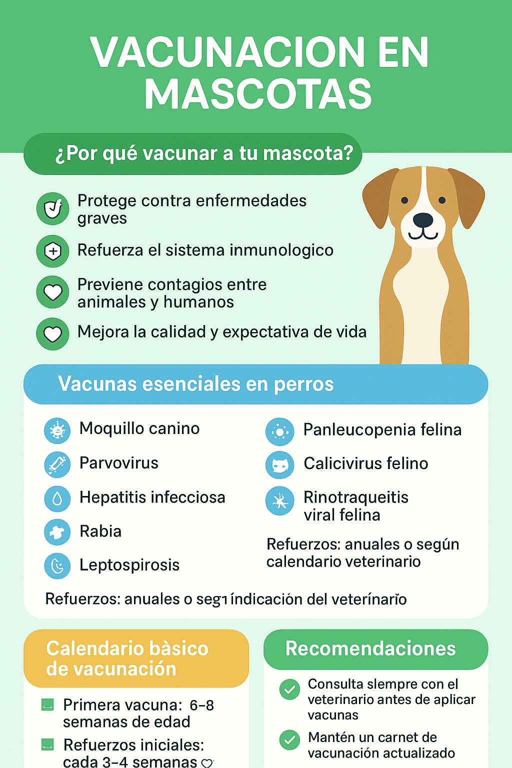 Infografía vacunacion de mascotas