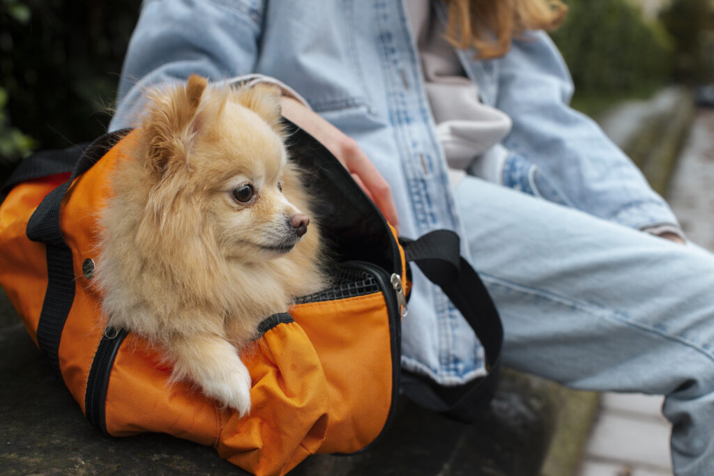 requisitos para viajar con mascotas