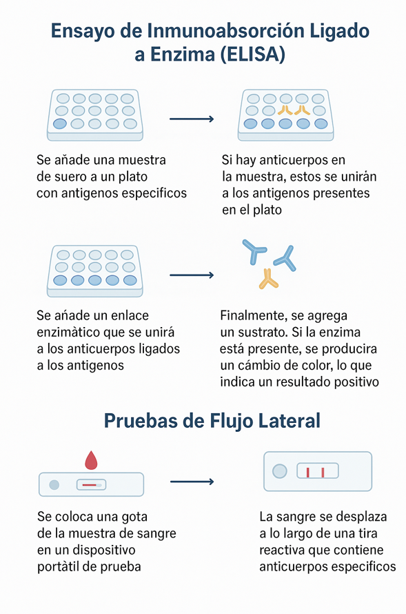 serologia medicina