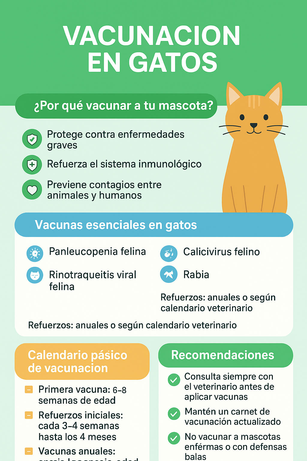 vacunacion en gatos