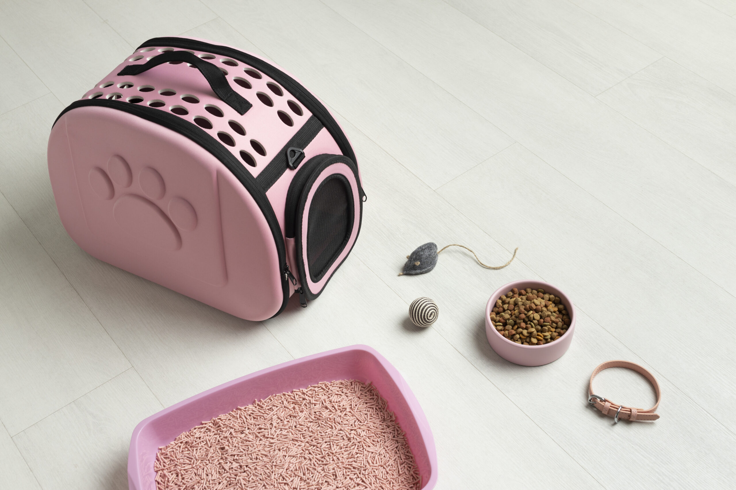 kit de viajes para gatos