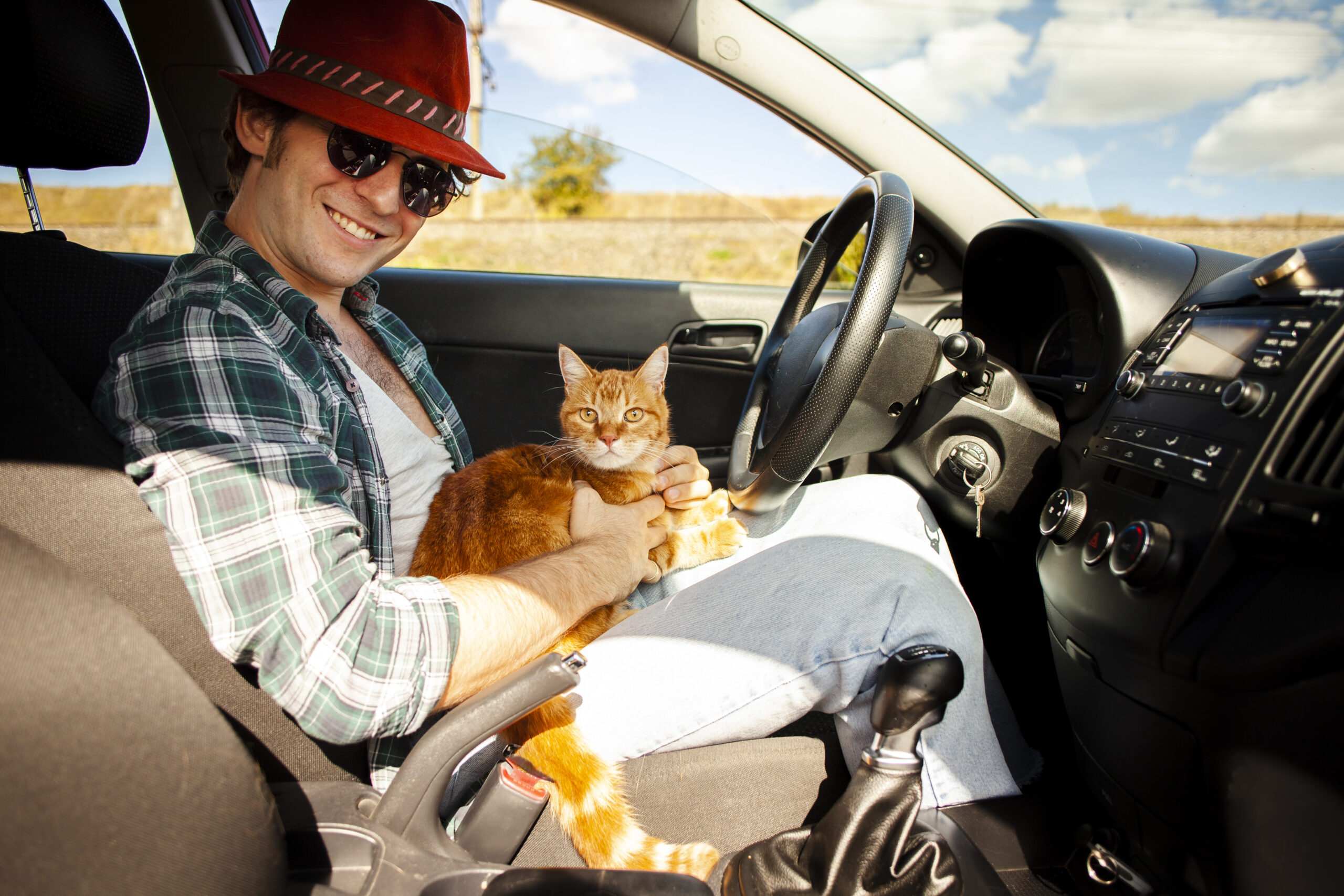 viajar en automovil con gato