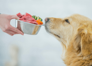 dietas-adecuadas-perros-emopet